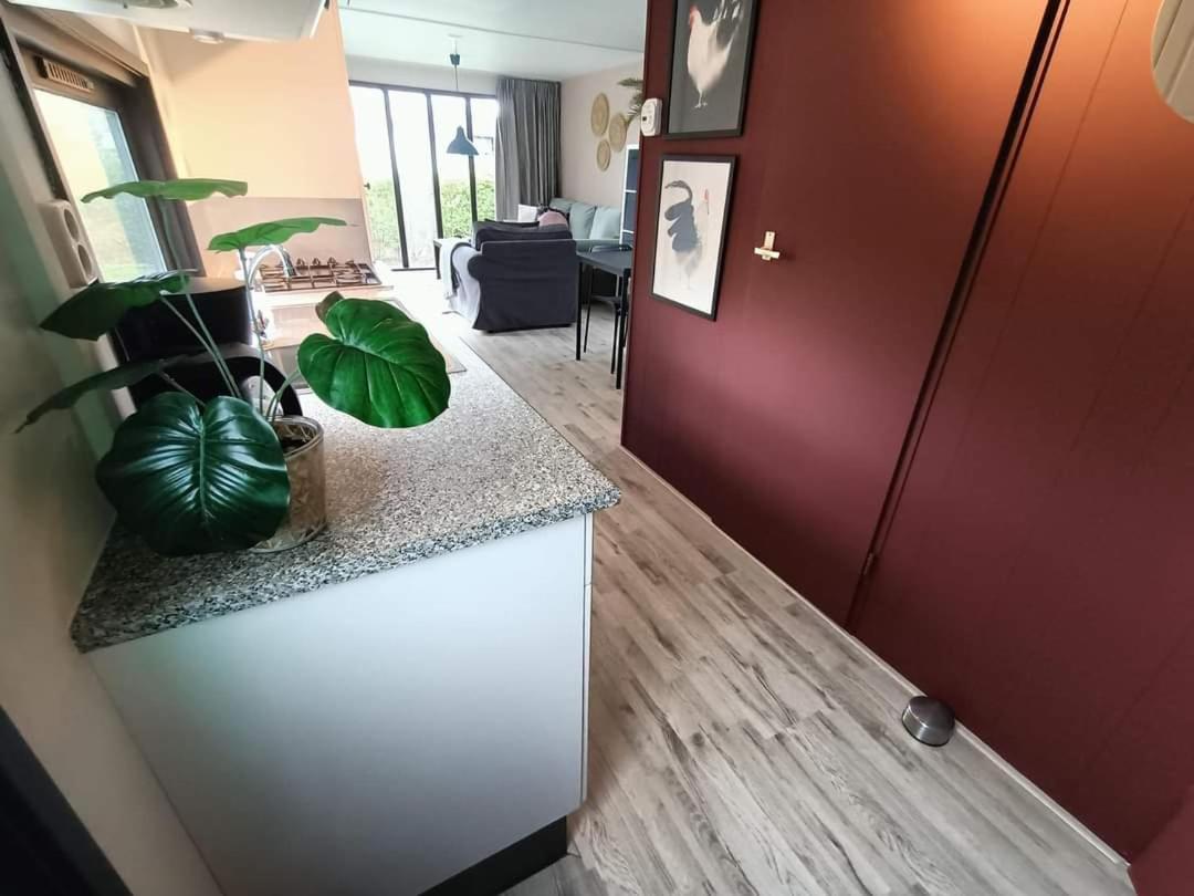 Do'S Chalets Baarland Exteriér fotografie