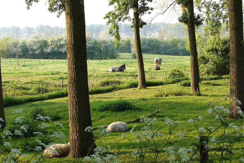 Do'S Chalets Baarland Exteriér fotografie